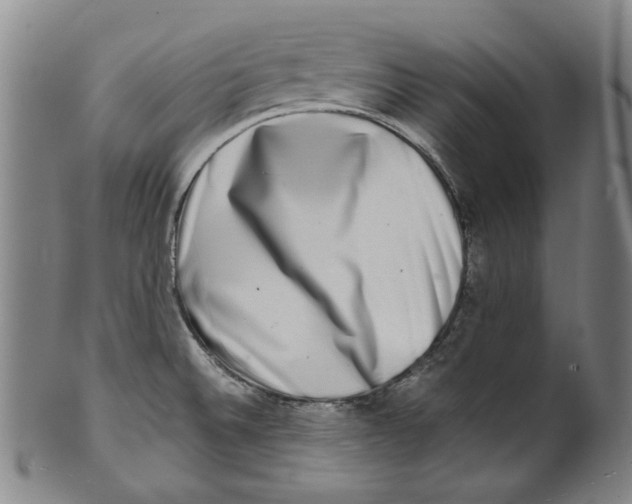 X0000100401524200806271408