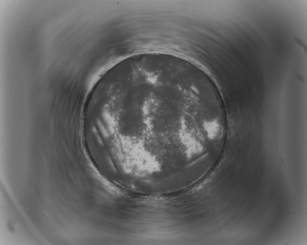 X0000100401525200806271409