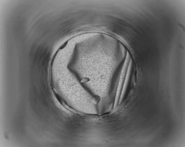 X0000100401528200806271409