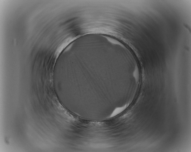 X0000100401529200806271409
