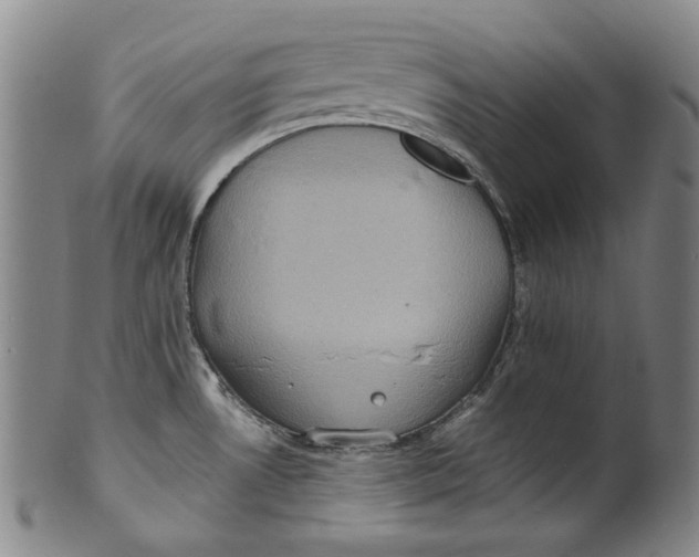 X0000100401530200806271409