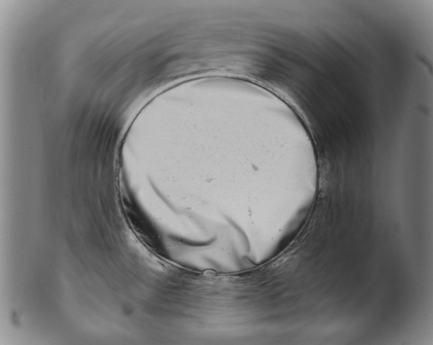 X0000100401532200806271409