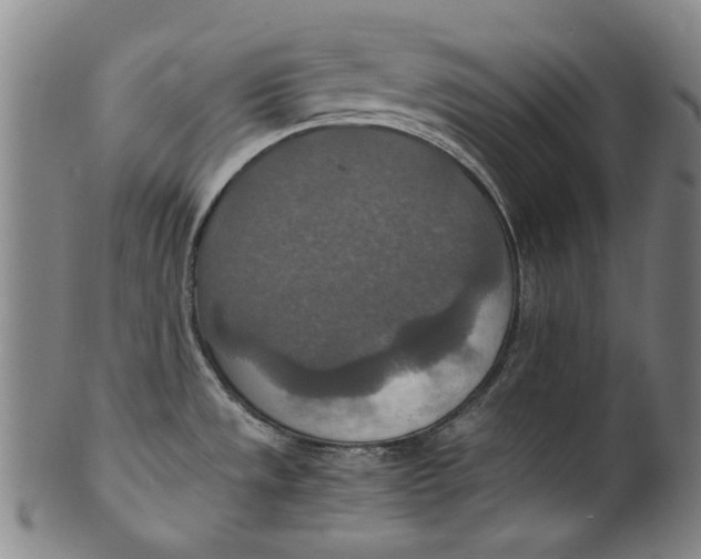X0000100401533200806271409