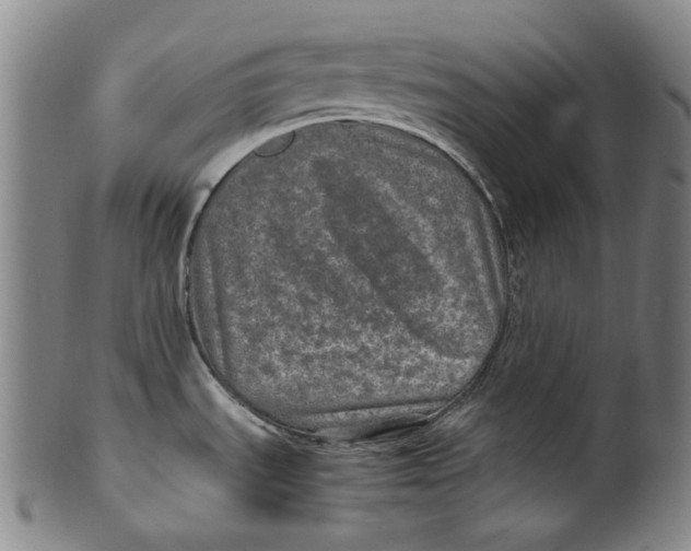 X0000100401535200806271409
