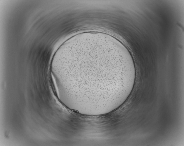 X0000100401536200806271409