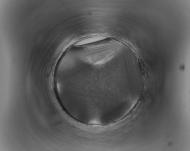 X0000100400002200807032025
