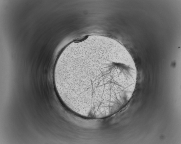 X0000100400004200807032025