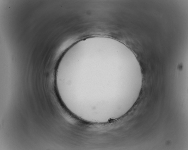 X0000100400005200807032025