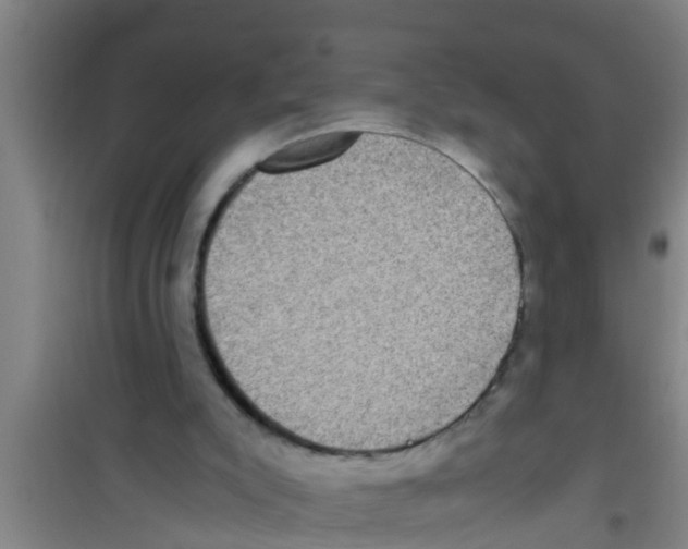 X0000100400007200807032025