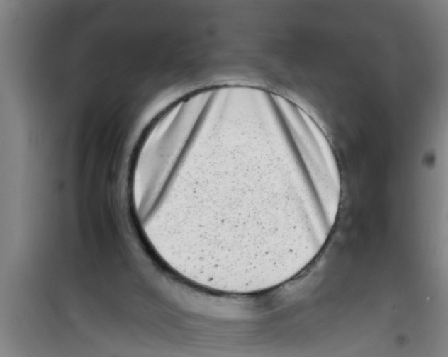 X0000100400008200807032025