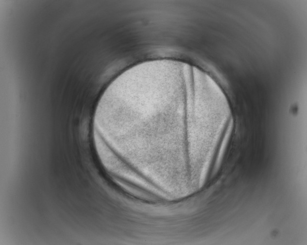 X0000100400010200807032025