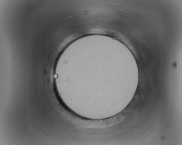X0000100400011200807032025
