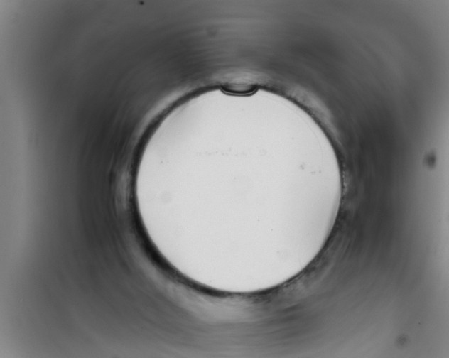 X0000100400012200807032025