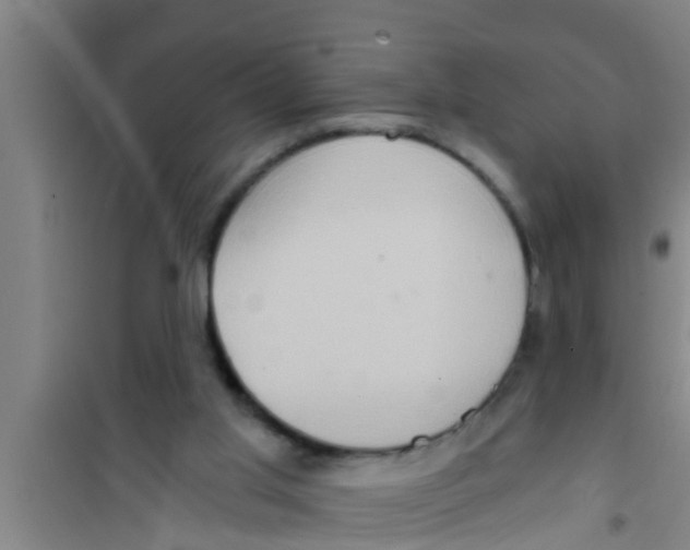 X0000100400013200807032025