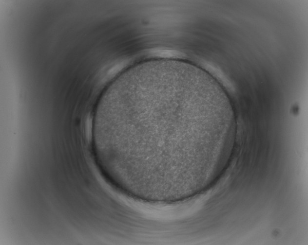 X0000100400014200807032024