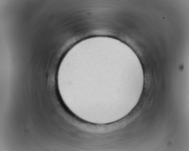 X0000100400015200807032024