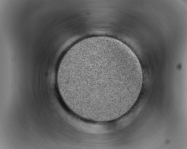 X0000100400016200807032024