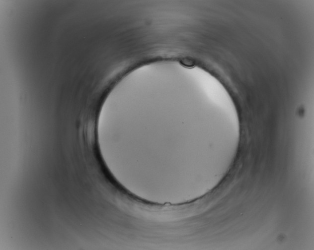 X0000100400019200807032024