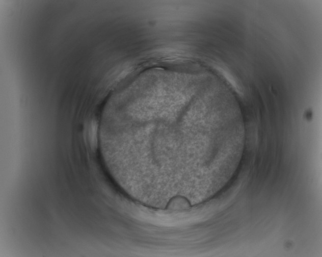X0000100400022200807032024