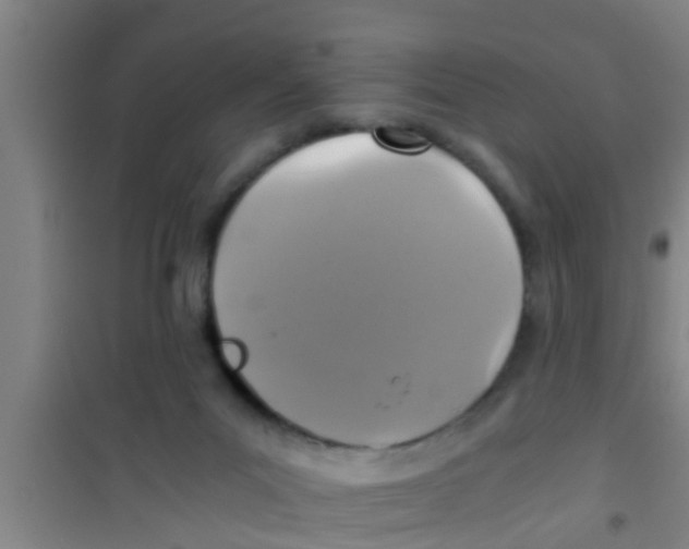 X0000100400023200807032024