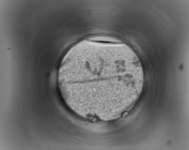 X0000100400024200807032024
