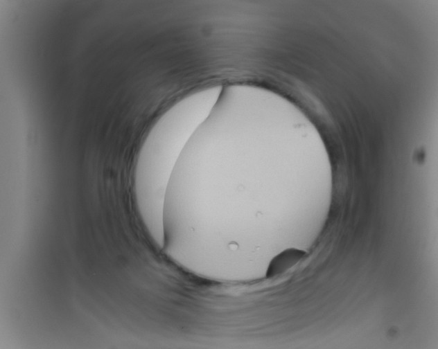 X0000100400025200807032024