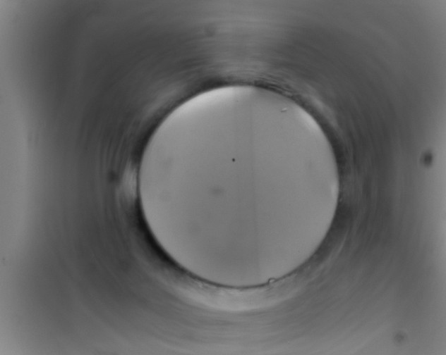 X0000100400027200807032024
