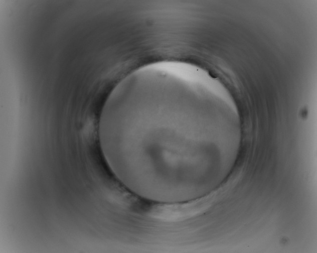 X0000100400029200807032024