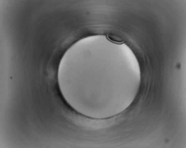 X0000100400031200807032024