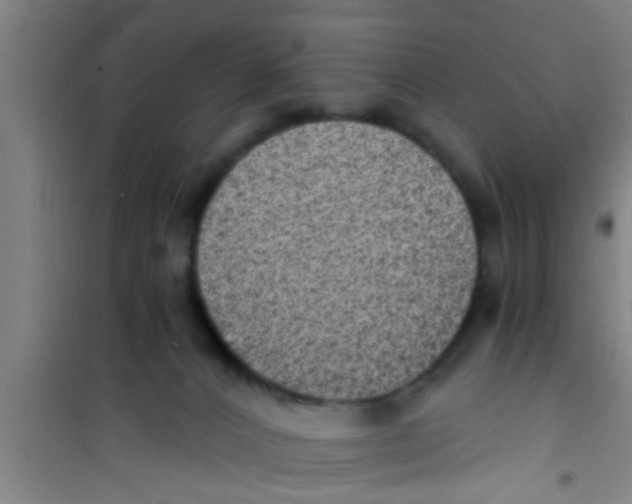 X0000100400032200807032024