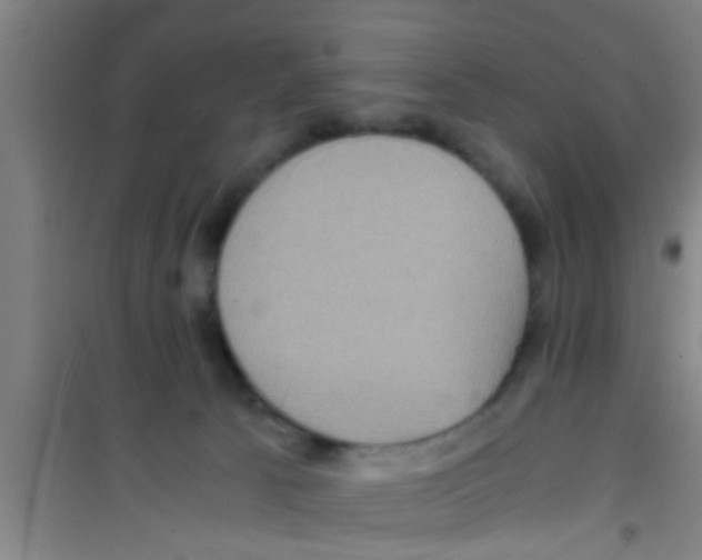 X0000100400033200807032024