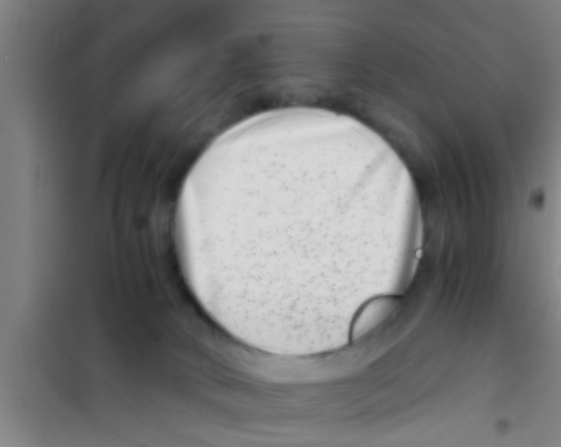 X0000100400034200807032024
