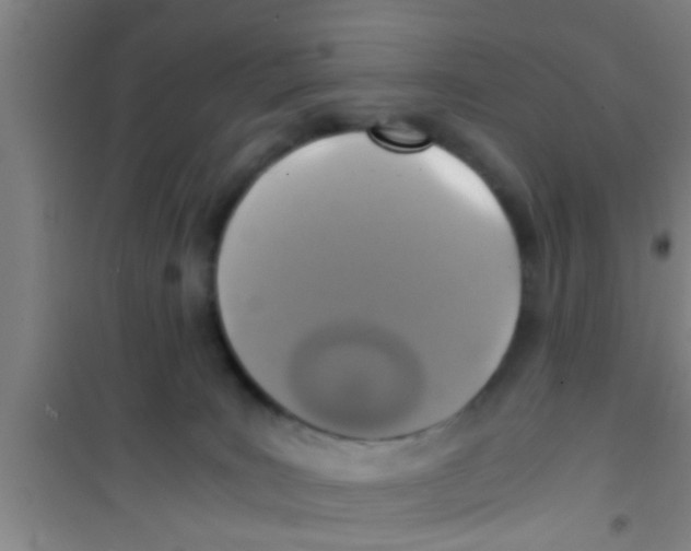 X0000100400035200807032024