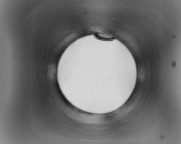 X0000100400036200807032024