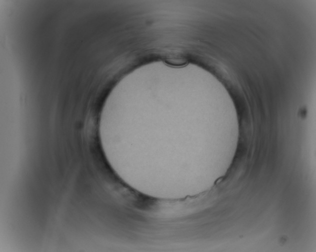 X0000100400037200807032024
