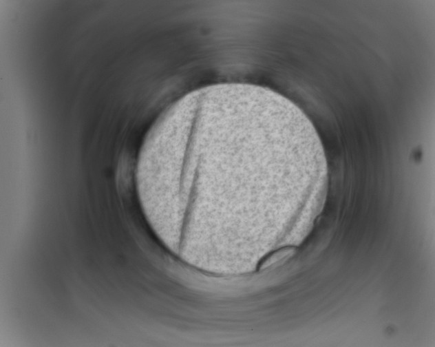 X0000100400038200807032024