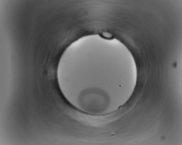 X0000100400039200807032024