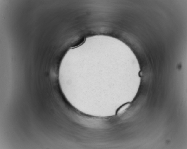 X0000100400040200807032024