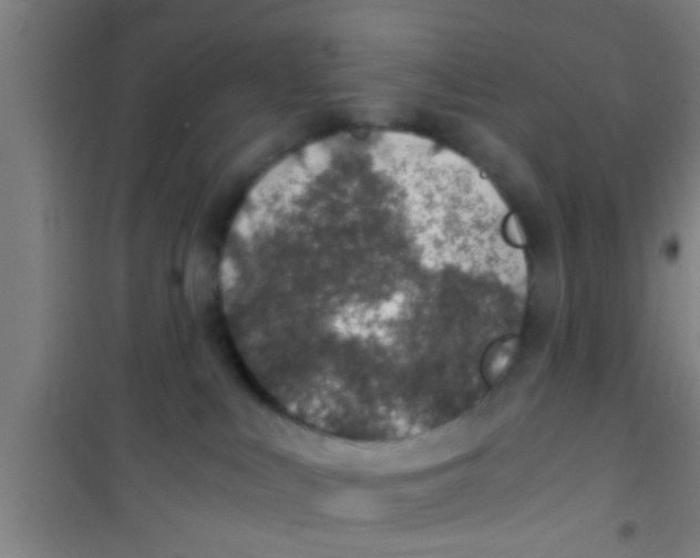 X0000100400043200807032024