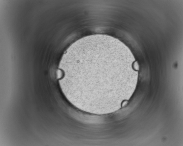 X0000100400044200807032024