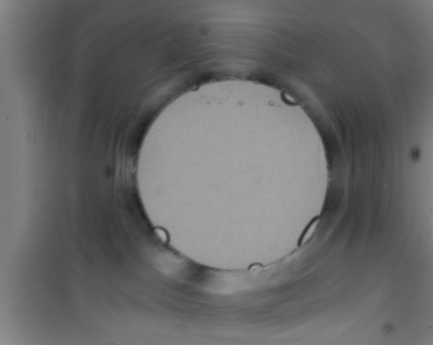 X0000100400045200807032024