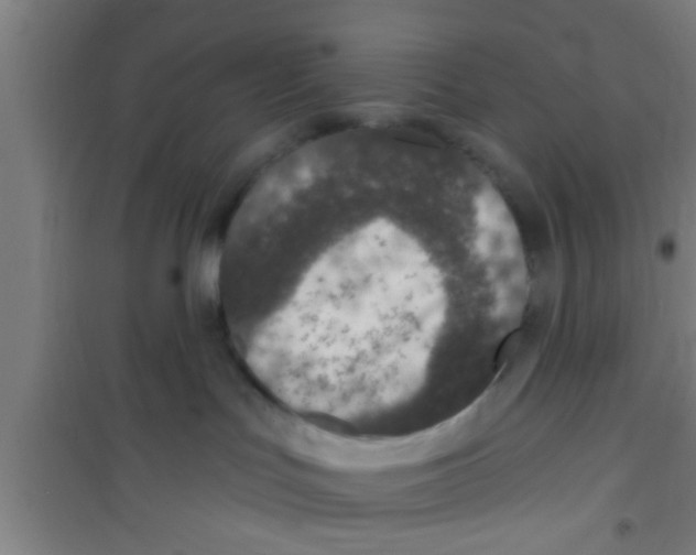 X0000100400047200807032024