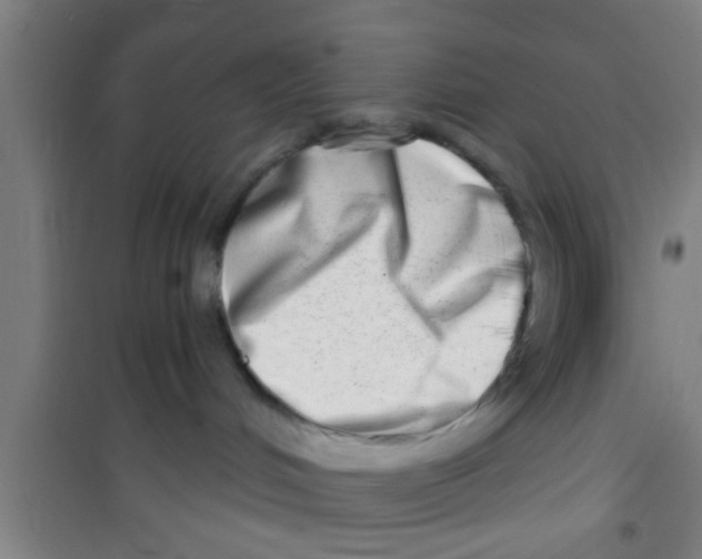 X0000100400048200807032024