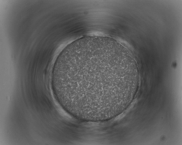 X0000100400049200807032023