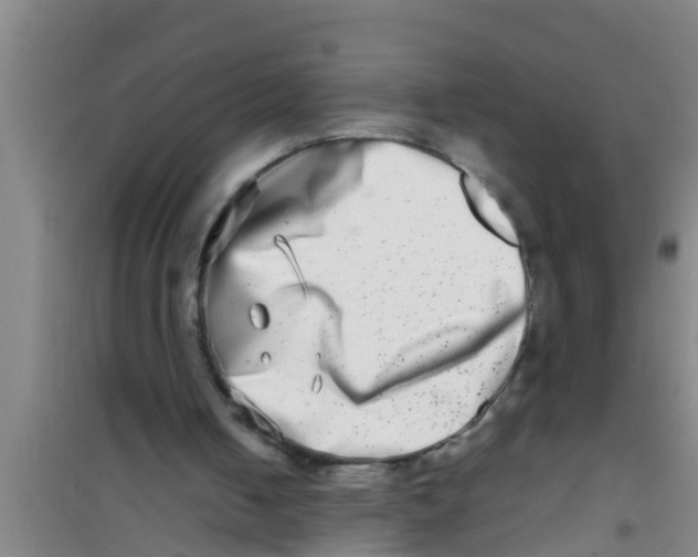 X0000100400050200807032023