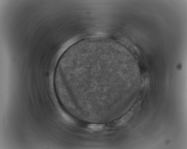 X0000100400051200807032023