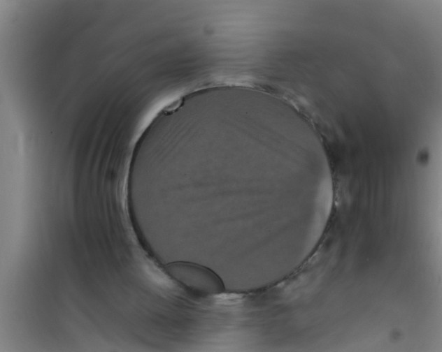 X0000100400052200807032023