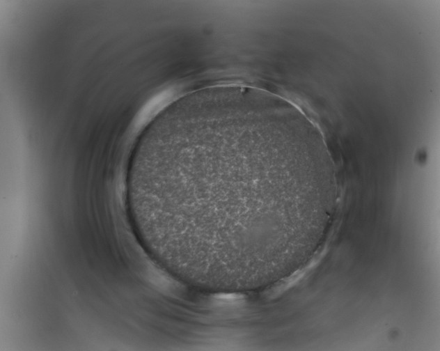 X0000100400053200807032023
