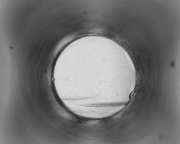 X0000100400054200807032023