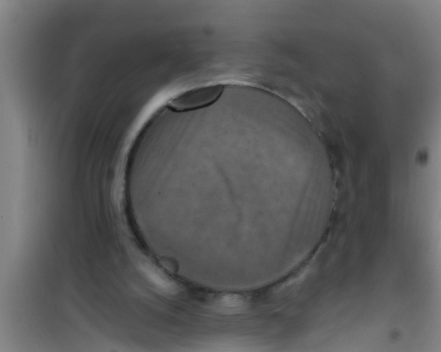X0000100400056200807032023